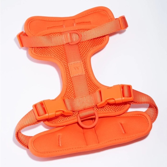 Wild One Dog Harness - Blaze - Size: XS - Picture 1 of 8